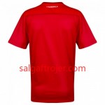 Peru Fodboldtrøjer Udebanesæt Copa América 2019 Kort ærmer